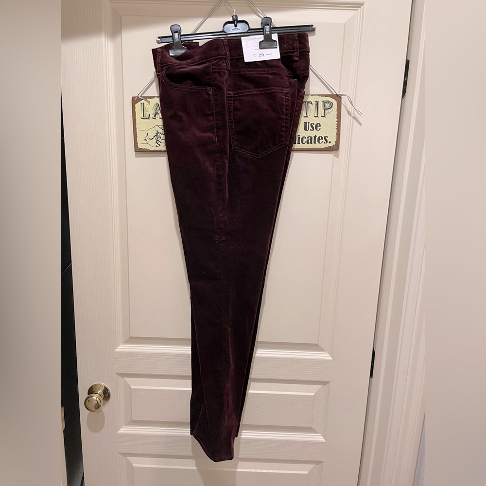 Ann Taylor loft velvet pants